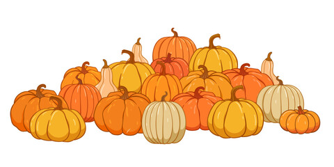 Pumpkin patch vector set. Bunch of autumn pumpkins. Hand drawn pumpkin squash in different colors and shapes.