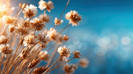 A beautiful arrangement of dried flowers against a blue, shimmering background resembling the sea, symbolizing beauty, nostalgia, and the elegance of nature’s offerings.
