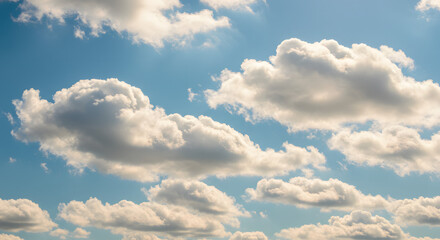 青空に浮かぶふわふわの積雲