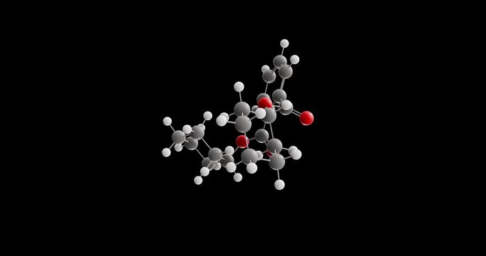 Dicyclohexyl phthalate molecule, rotating 3D model of phthalate ester, looped video on a black background

