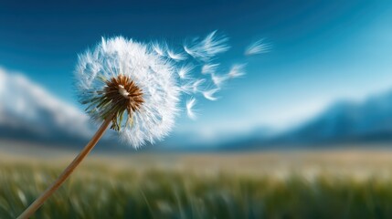 Naklejka premium A delicate dandelion puff releasing its seeds into the breeze symbolizes freedom and nature's transient beauty, inviting viewers to reflect on change and the journey of life.