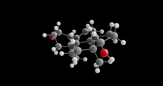 Androstenediol molecule, rotating 3D model of endogenous androgen, looped video on a black background
