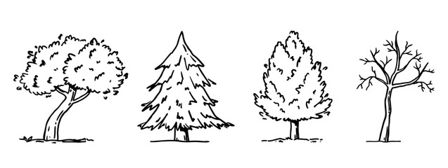 A set of different trees isolated on a white background. Landscape sketch. Vector hand-drawn illustration in outline style. Perfect for cards, decorations, logo, nature-themed designs