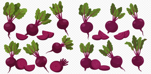 Illustration of beets with green leaves and sliced pieces.