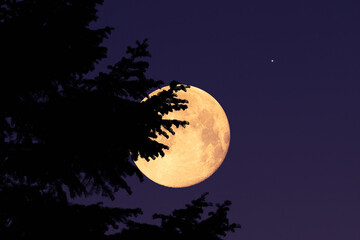 Full Moon, stars, planets and rural landscape scenery silhouettes.