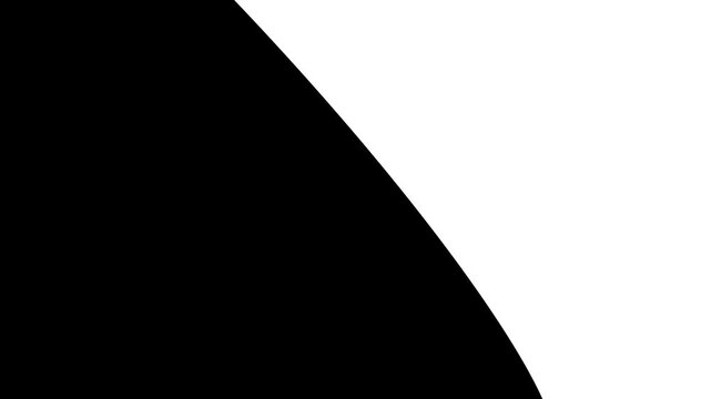 white light 4k smooth wave split fluid transition transparent background