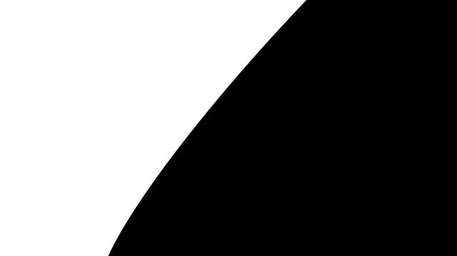 white light 4k smooth wave split fluid transition transparent background