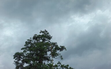 The white clouds are floating in the beautiful clear blue sky