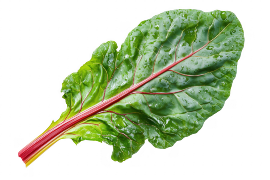 Vibrant green leaf with red stem isolated on a transparent background