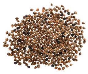 Buckwheat grains pile