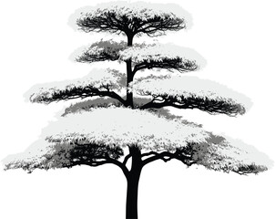 Stylish Black and White Tiered Tree Silhouette on White Backgroun