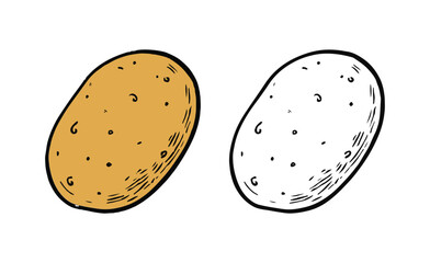 Detailed illustration of hand drawn black and colourful potato silhouette outline