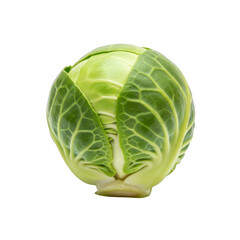 Fototapeta premium Fresh green brussels sprout isolated on transparent background