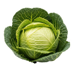 Fototapeta premium Fresh green cabbage isolated on transparent background