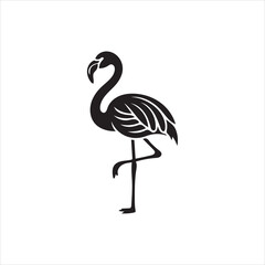 flamingo vector illustration