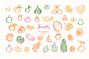  Drawn Fruit Sketch Collection
