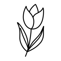 tulip flower vector icon