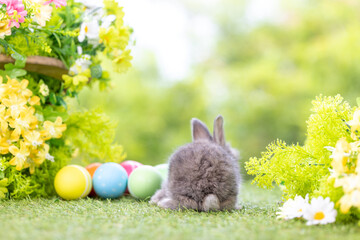 Lovely bunny easter fluffy baby rabbit with a basket full of colorful flowers and easter eggs on green garden nature background on warming spring day. Symbol of easter day festival. Rabbit in summer.