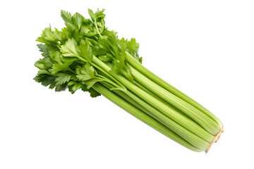 Fresh celery stalks isolated on white background