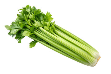 Fresh celery stalks isolated on white background
