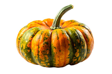 Vibrant Autumn Harvest A Striking Portrait of a Colorful Decorative Pumpkin Against a White Backdrop