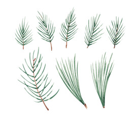 Naklejka premium Fir pine brances hand drawn by watercolor. Isolated on white background. evergreen plants. Winter plants. Design elements for Christmas cards, banners, invitations