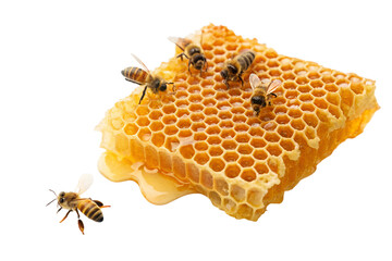 Honeycombs and Bees A Natural Sweet Treat, buzzing insect, nature's goodness