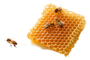 A vivid close-up of honeybees diligently working on a golden honeycomb, highlighting the intricate natural structure and the process of pure honey production