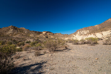Wanderweg in der Tabernas Wüste, Provinz Almería, Andalusien, Spanien