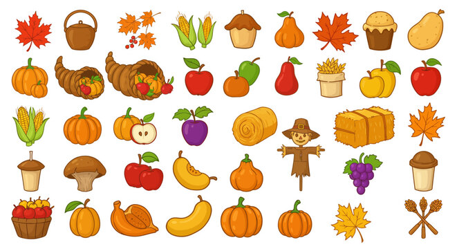 Autumn harvest collection with fruits, vegetables, and seasonal icons