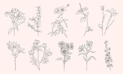 Simple Set of Flower Illustration Line Art Vintage Style for Wedding Decoration or Romance Design