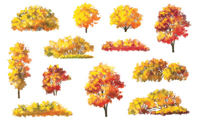 Vector watercolor illustration of a blooming flower tree or forest side view, ginkgo isolated on a white background, suitable for landscape and architecture drawing. The illustration includes elements