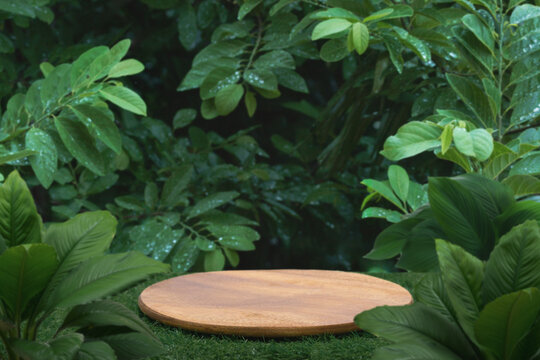 Wood plate podium stand in tropical forest nature background.natural product pedestal wooden modern stage display,jungle paradise concept.