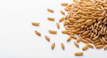 Obraz premium rice seeds on white background