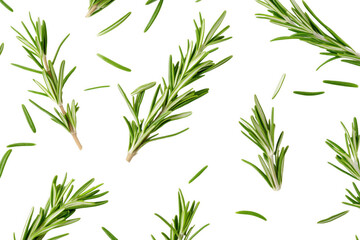 Fototapeta premium Green herb sprigs scattered isolated on a transparent background