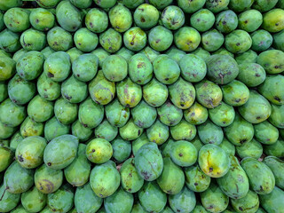 Pile of fresh green mangoes displayed at a market. Tropical exotic fruits with natural texture and vibrant color, showing freshness and organic produce ready for sale.