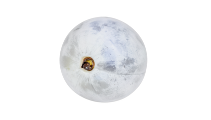 Single, glistening white grape in stunning macro detail