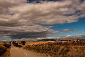 Landschaft in der Meseta am Jacobsweg in Nordspanien