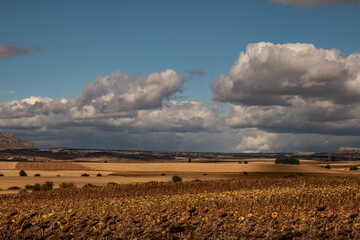 Landschaft in der Meseta am Jacobsweg in Nordspanien