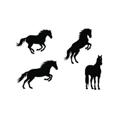 Four majestic horse silhouettes galloping rearing standing dynamic action animals wildlife vector