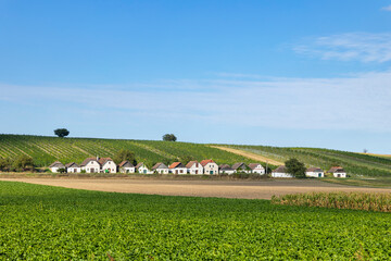 Naklejka premium Traditional cellar lane houses creating unique Lower Austria landscape