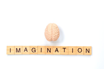 Imagination Concept with Brain and Wooden Letter Tiles on White Background
