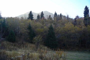Ile-Alatau National Nature Park. Mountainous area with different vegetation, near Lake Issyk.