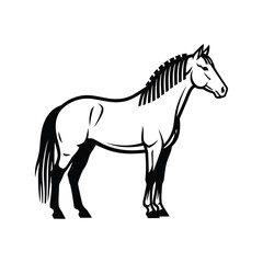 Elegant horse silhouette standing still artistic illustration full body side view vector