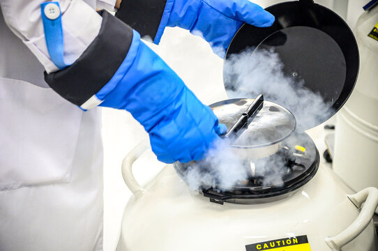 Close-up scientist handling sperm freezing tank with liquid nitrogen in laboratory