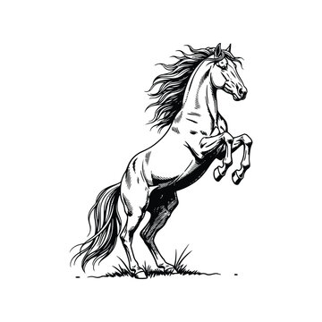Majestic horse rearing up powerful silhouette emblem tattoo design vector art vector