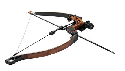 Modern recurve bow with wooden and black components