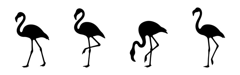 Flamingo icons set. Vector silhouettes of flamingo birds design.