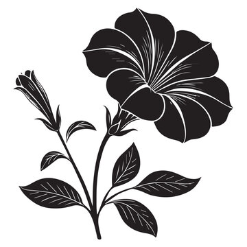 Elegant petunia flower illustration with delicate lines, perfect for creative designs and invitations