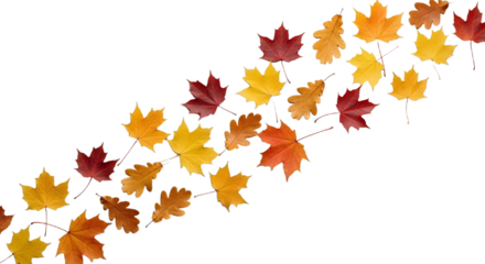 Vibrant Autumn Leaves Swirling on a White Background, Capturing the Essence of Fall's Dynamic Beauty and Seasonal Transitions